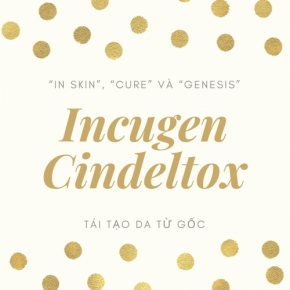 Ý nghĩa của Incugen Cindeltox là gì?