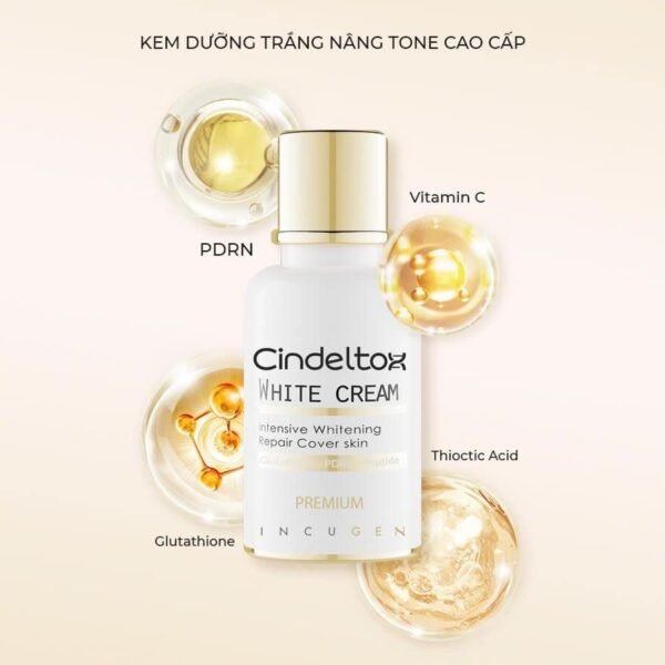 Kem dưỡng Cindel toxd