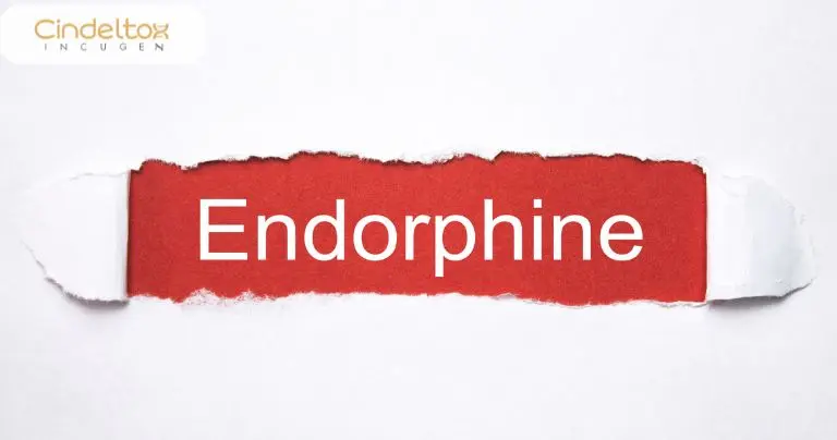 Ergothioneine là chất chống oxy hóa mạnh mẽ - thành phần có trong cây thiên ma